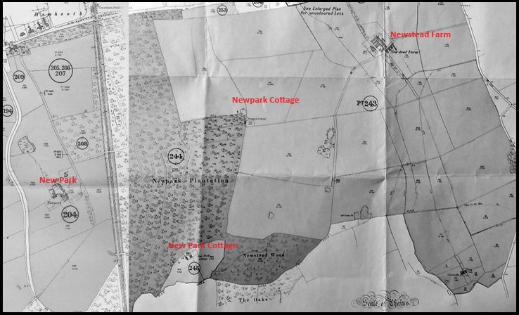 1919 Auction Map