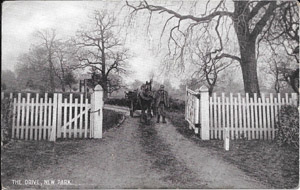 New Park Drive 1910