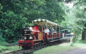 Trentham Flyer
