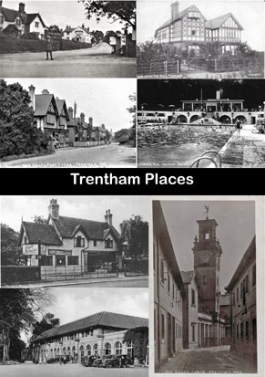 Composite photo of local places